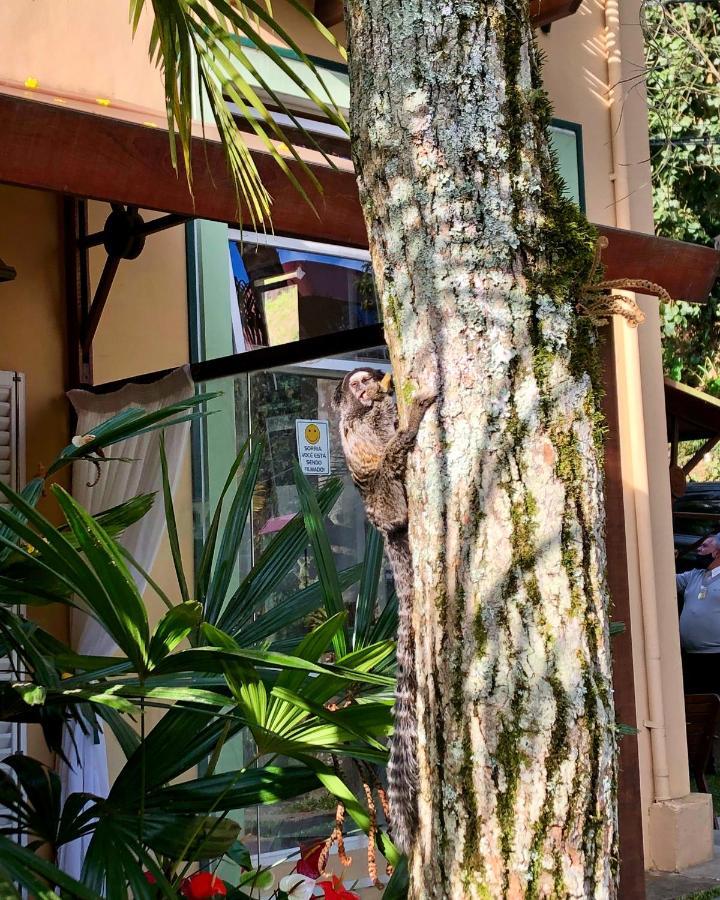 Pousada Pataca De Prata - Pousada De Epoca Petrópolis Buitenkant foto